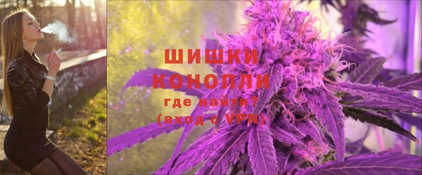 a pvp Магас