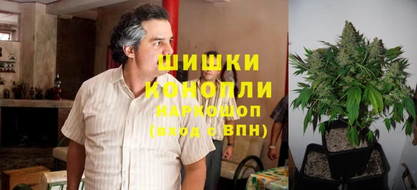 a pvp Магас