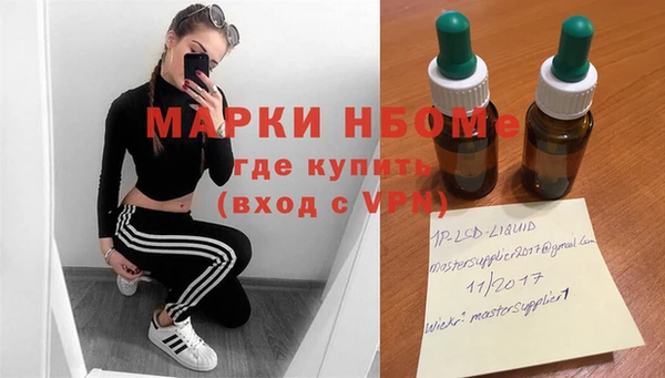 a pvp Магас
