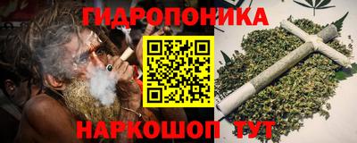 молекула духа Гагарин