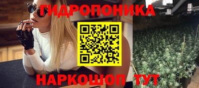 молекула духа Гагарин
