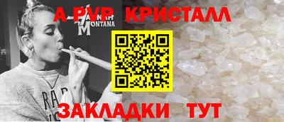 гидра Гай