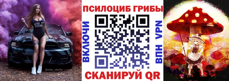 Псилоцибиновые грибы Psilocybe  купить наркоту  Кыштым 