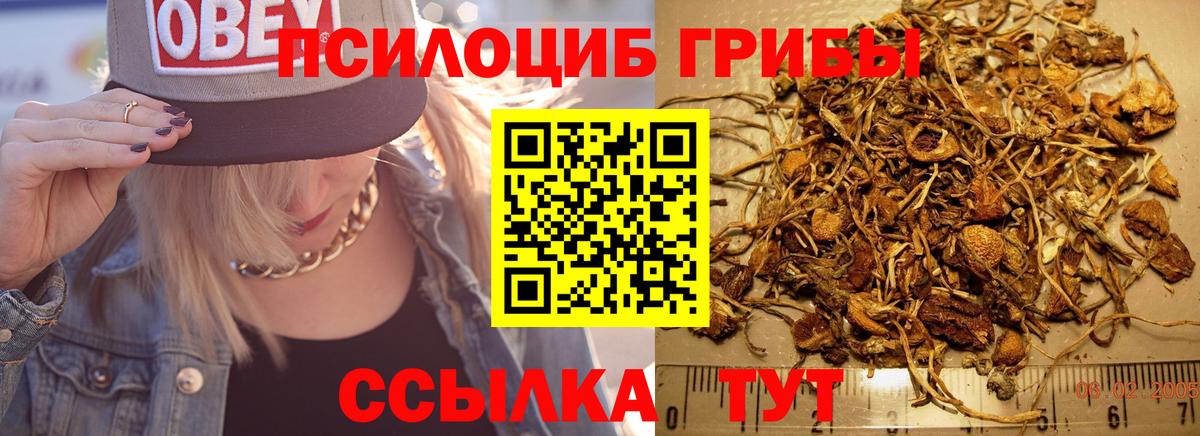 Псилоцибиновые грибы мухоморы Кыштым