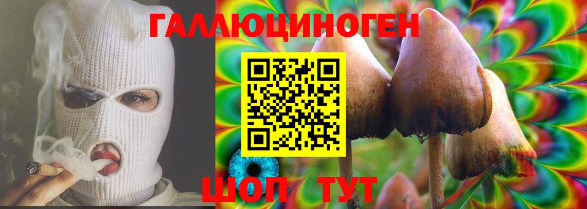 закладка  Псилоцибиновые грибы прущие грибы  Вход с VPN  Кыштым 