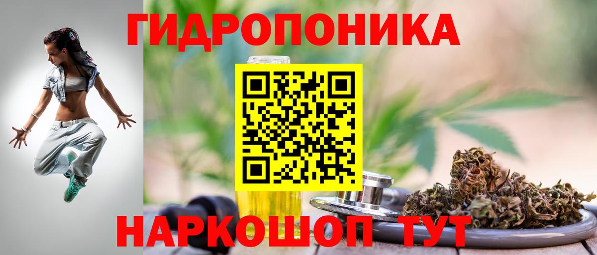 МАРИХУАНА OG Kush  Каннабис план  Вход с VPN  Кыштым  Бошки марихуана сатива 